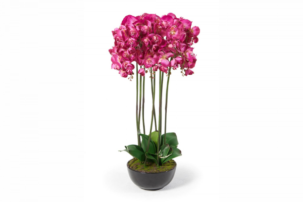 Orchidées Maria, rose 83 cm