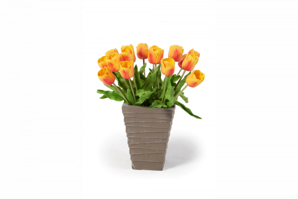 Tulipani arancione