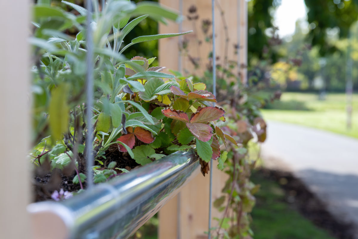 Vertikaler Garten als DIY-Projekt mit Dachrinnen