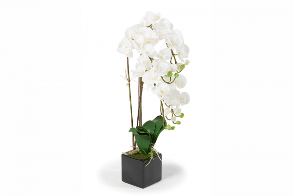 Juliette orchids, white 82 cm